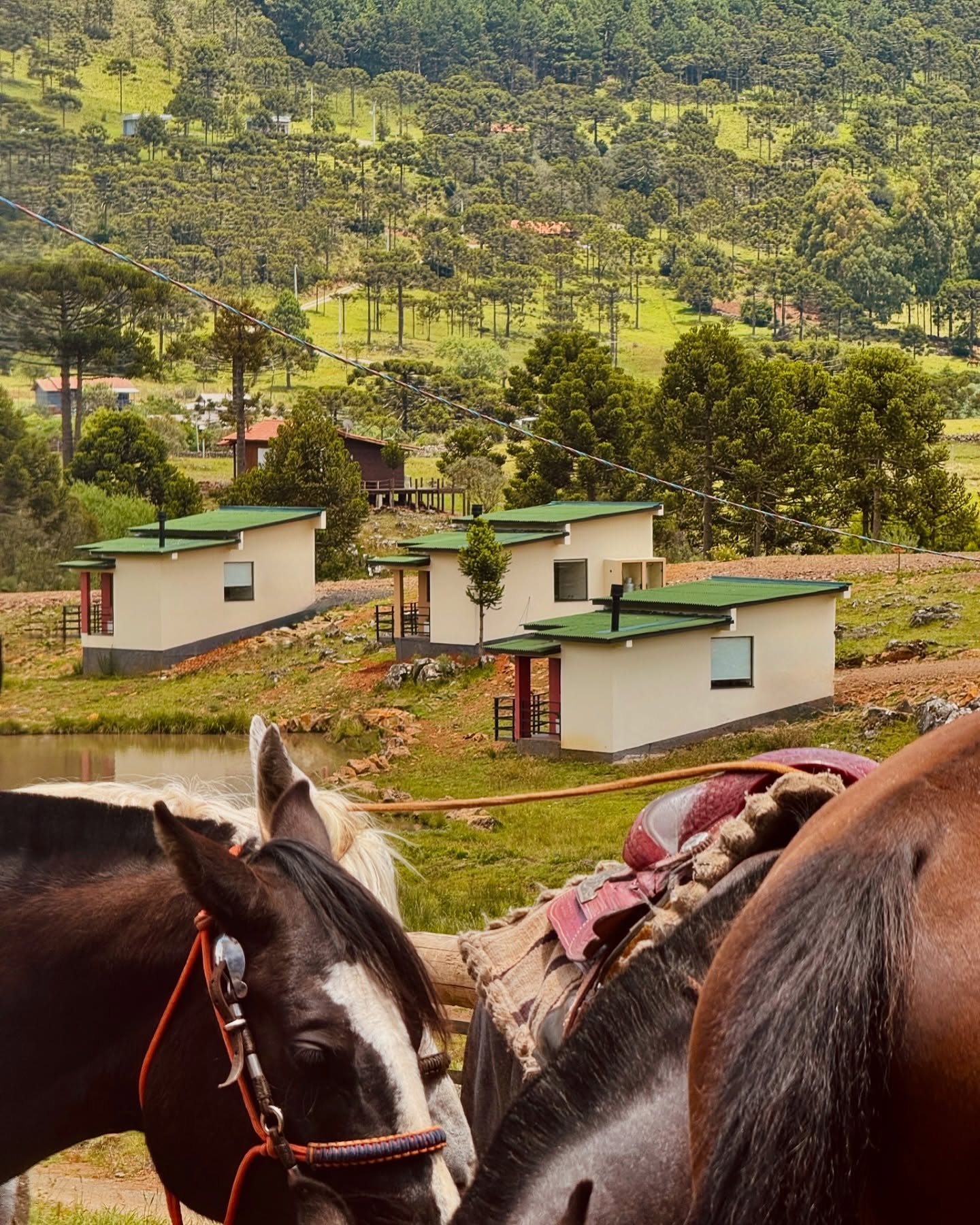 Vista externa das cabanas com cavalos